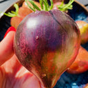 641 Classic Rebel Starfighter Tomato, 5 Seeds