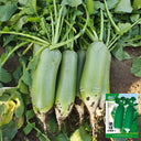 Chinese Green Radish Seeds, 10g