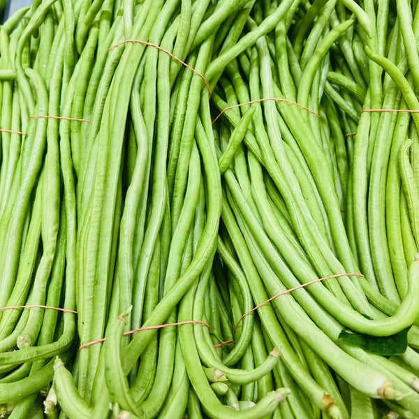 Long Dragon Cowpea Seeds, 200g