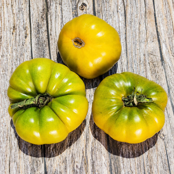 44 Echo Tomato, 5 Seeds
