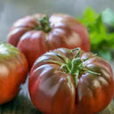 Marsha's Starfighter Beefsteak Tomato Seeds, 5 Seeds