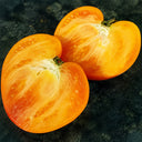 678 Royal Heart Tomato, 5 Seeds