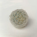 Feather Cactus, 3-4cm