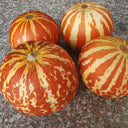 Tigger Melon (Cucumis melo) Seeds, 20 Seeds