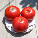 94 Minusinsk Dimensionless Tomato, 5 Seeds