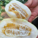Qingzhou Silver Melon Seeds, 1g