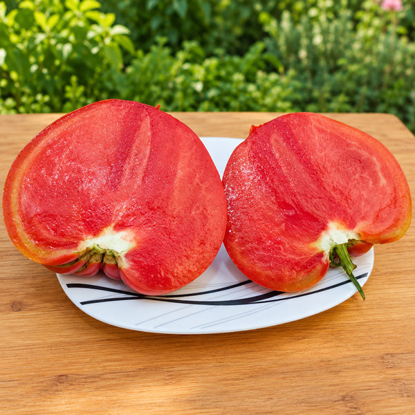 490 Grandma's Honey Tomato, 5 Seeds