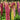 Mixed Color Lupin, 100 Seeds