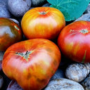 1093 Mossy Oak Tomato, 5 Seeds