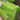 Green Hyacinth Bean Seeds, 5g