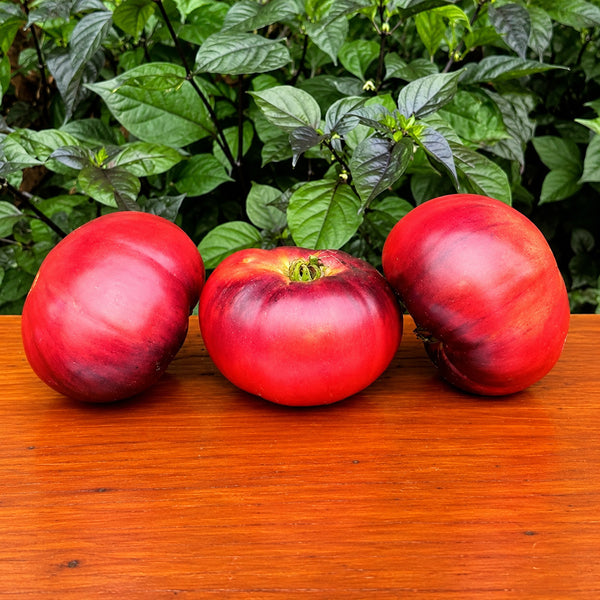 197 Mlle Foriers Tomato, 5 Seeds