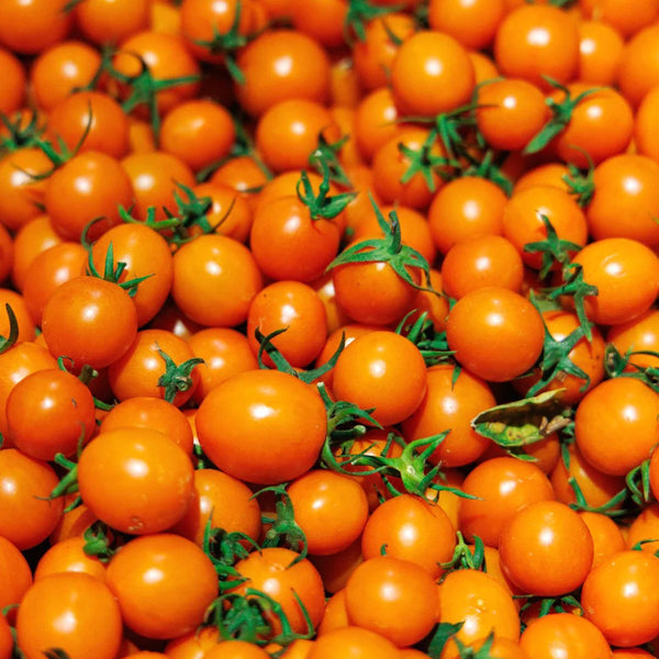 Golden Emperor Cherry Tomato, 200 Seeds