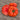 454 Big Zac Giant Tomato, 5 Seeds