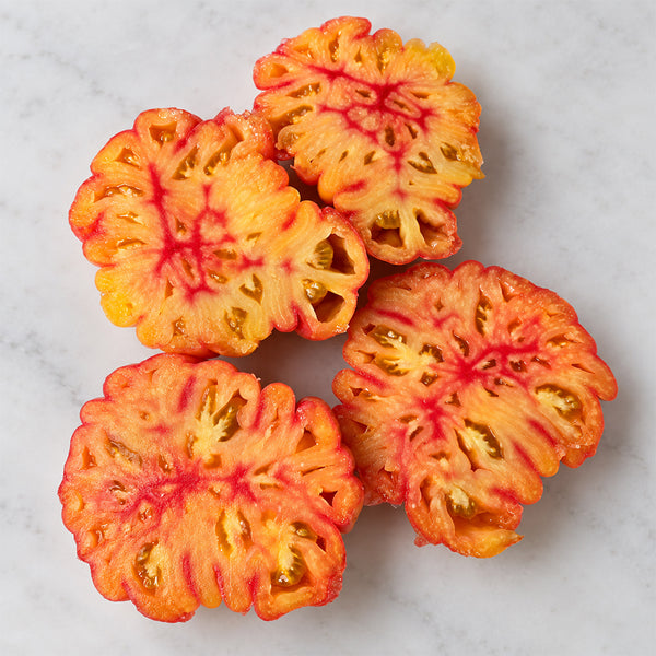 Seed Lot 518 Tomato, 5 Seeds
