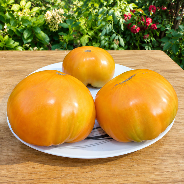 319 Meat Breakfast Tomato, 5 Seeds