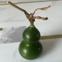 Dark Green Gourd, 5 Seeds