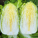 'Jiaoyan Qiubao' Chinese Cabbage Seeds, 10g