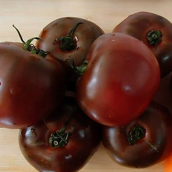 Chocolate Tomato, 100 Seeds