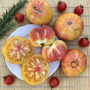 Hillbilly Potato Leaf Tomato, 15 Seeds