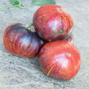 Marsha's Starfighter Beefsteak Tomato Seeds, 5 Seeds