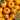 Amish Gold Tomato, 15 Seeds