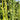 Jiaduobao Yardlong Bean, 30g