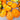 883 Golden Fashionista Tomato, 5 Seeds