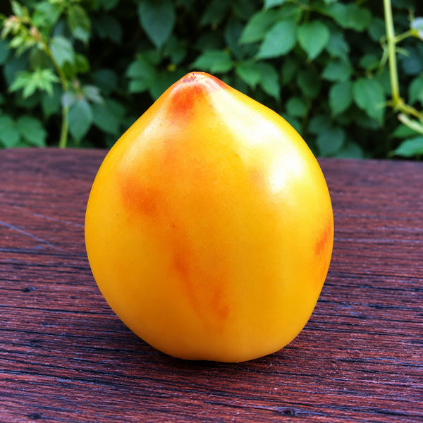 220 Mila Roggie Tomato, 5 Seeds