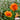 Hezhichun Orange Moss-Rose Purslane Seeds, 1g