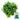 New Zealand Spinach Seeds, 20g