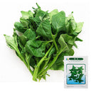 New Zealand Spinach Seeds, 20g