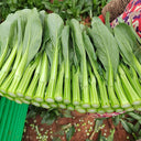 Meiqi No.2 Sweet Choy Sum Seeds, 10g