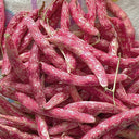 Dayu Red Golden Hook Snap Bean Seeds, 20g