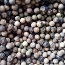 Small Leaf Camphor Tree, 100 Seeds