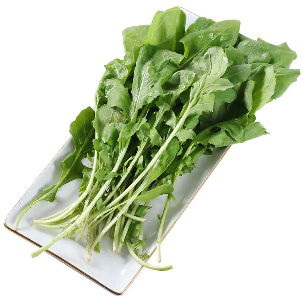 Organic Large-Leaf Arugula Seeds