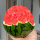 Sugar Globe Petite Watermelon Seeds, 15 Seeds