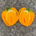360 Rosalie's Early Orange Tomato, 5 Seeds