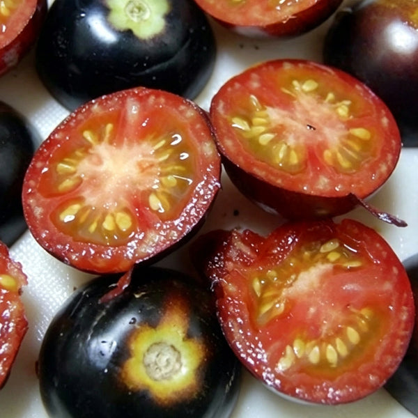 Clackamas Blueberry Indigo Tomato, 15 Seeds