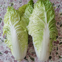 Golden Summer Crown Cabbage Seeds, 10g