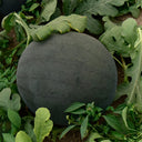 'Black Landmine' Watermelon Seeds