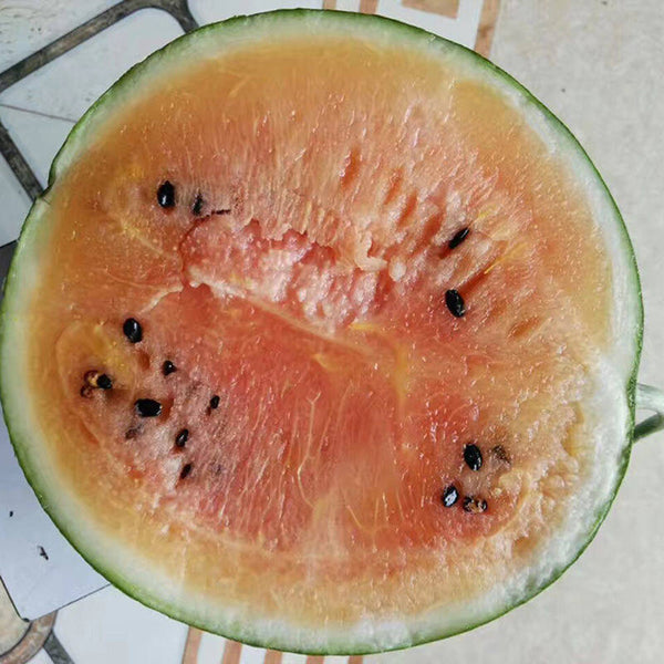 Rainbow No.1 Watermelon, 20 Seeds