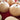 Extra Large Bottle Gourd, 5 Seeds