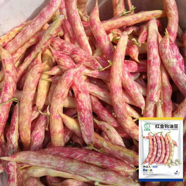 Dayu Red Golden Hook Snap Bean Seeds, 20g