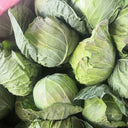 Xingyou Jingfeng No.1 Cabbage, 1000 Seeds