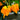 Yellow Carolina Reaper Pepper, 5 Seeds
