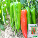 Hongyun No.1 Sweet Pepper F1, 100 Seeds