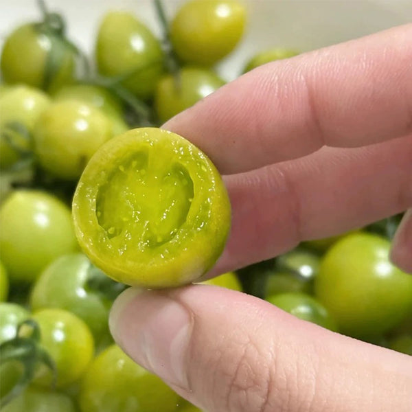 Dream Green Sweet No.2 Cherry Tomato, 5 Seeds