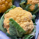 Orange Flower No.2 Cauliflower Seeds, 1g