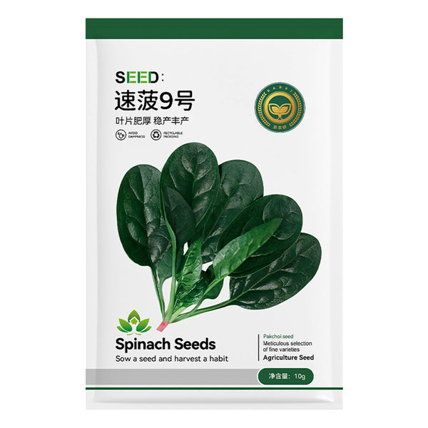 Jingyan Swift No.9 Spinach Seeds, Pack of 0.35 OZ