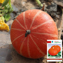 Golden No.2 Pumpkin Seeds, 200g